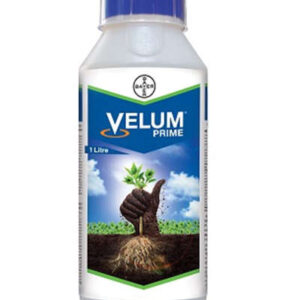 Velum Prime Bayer